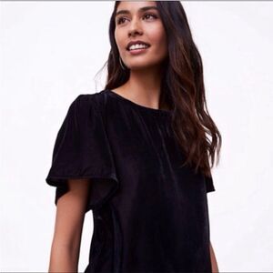 Ann Taylor LOFT Black Velour Short Sleeve Blouse Size Small Party Date Night